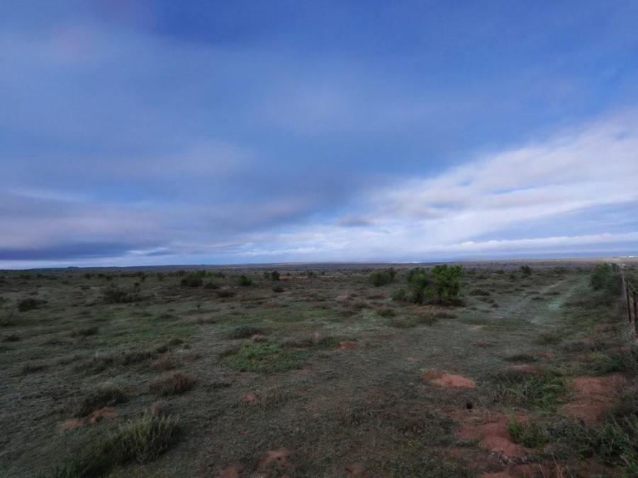 0 Bedroom Property for Sale in Darling Western Cape